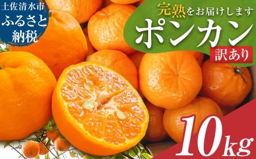 【令和8年発送 訳あり】ぽんかん10kg(オレンジ園)10キロ  デコポンの親 みかん ミカン 果物 果実 柑橘 フルーツ おやつ デザート ジューシー 甘い 美味しい 健康 家庭用 国産【R01081】高