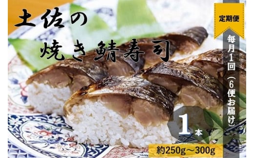 【定期便】土佐の焼きサバ寿司(1本×6回発送)7切れ 総量約250g〜300g 特選鯖寿司惣菜 おかず 鯖寿司 さば寿司 焼き鯖寿司 焼きさば寿司 さば 鯖 お寿司 すし 魚介類【J00008】高知県土佐