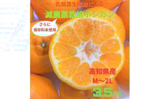 【令和8年1月下旬より発送】<訳あり>ぽんかん 3.5kg 高糖度 みかん 柑橘 甘い ジューシー 完熟 フルーツ 果物 ポンカン ビタミンC 旬 M〜2Lサイズ 減農薬 乳酸菌生成液 産直 季節限定 家庭用