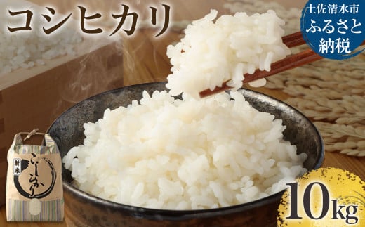 【先行予約】令和6年産 コシヒカリ精米10kg(1袋)新米 白米 お米 ご飯 米 kome こめ コシヒカリ こしひかり 高知県産 10キロ 故郷納税 返礼品 高知 土佐清水市 【R00355】高知県土佐清水市13000