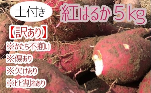 先行予約【訳あり】サツマイモ(紅はるか)5kg 農薬化学肥料不使用 (土付き)【R00104】高知県土佐清水市7000野菜・きのこじゃがいも・イモ類