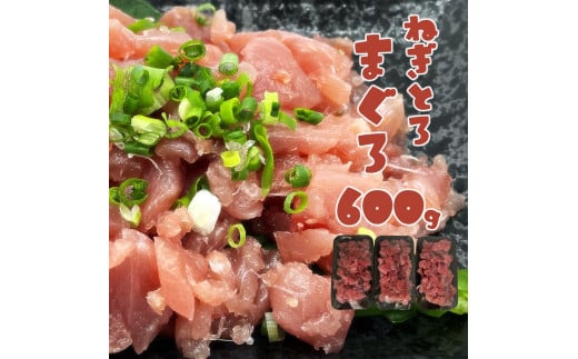 lMg ܂ v600gi200g×3pbNjCN }O Ђ ܂똥yR00791zmys17000ECYN