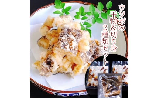 からあげ用ウツボ2種類セット カット干物(100g)&切り身生(200g×2P)天ぷら 南蛮 フライ 冷凍惣菜【R00363】高知県土佐清水市14000魚介・海産物うなぎ