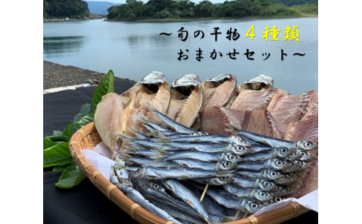 旬の干物4種類おまかせセット 無添加 お楽しみ 干し魚 健康食品 おかず 惣菜 おつまみ【R00764】高知県土佐清水市7000魚介・海産物干物