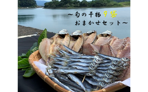 旬の干物9袋おまかせセット 無添加 お楽しみ 干し魚 健康食品 おかず 惣菜 おつまみ【R00771】高知県土佐清水市14000魚介・海産物干物