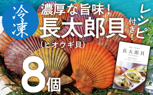 黒潮の恵 冷凍 ヒオウギ貝8個セット(ホタテの仲間)アウトドア キャンプ バーベキュー 魚貝 殻付 貝柱 酒蒸し 真空パック【R00802】高知県土佐清水市5000魚介・海産物貝類