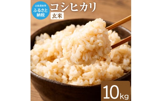 令和6年産新米 コシヒカリ玄米【先行予約/令和6年8月発送予定】10kg 10キロ お米 新米 玄米 健康食品 おこめ 米 こめ ごはん 飯 こしひかり ブランド米 おいしい【R01035】高知県土佐清水市12000