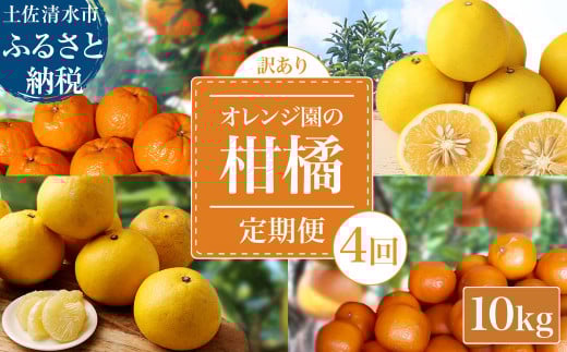 【令和8年発送 訳あり】 オレンジ園の柑橘4種(ぽんかん・文旦・タンカン・小夏)各10kg 4回定期便 ポンカン ぶんたん 果物 蜜柑 みかん ミカン 柑橘 フルーツ デザート 常温 配送【J00101