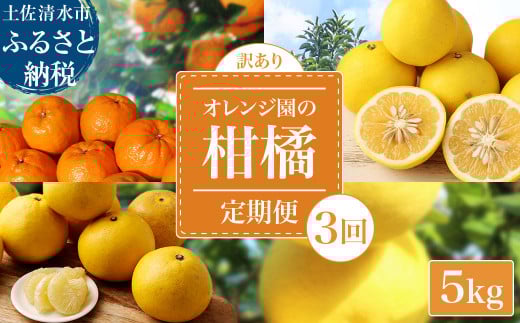 【令和8年発送  訳あり】 オレンジ園の柑橘3種(ぽんかん・文旦・小夏)各5kg 3回定期便 ポンカン ぶんたん こなつ 果物 蜜柑 みかん ミカン 柑橘 フルーツ デザート 国産 常温 配送【J00102