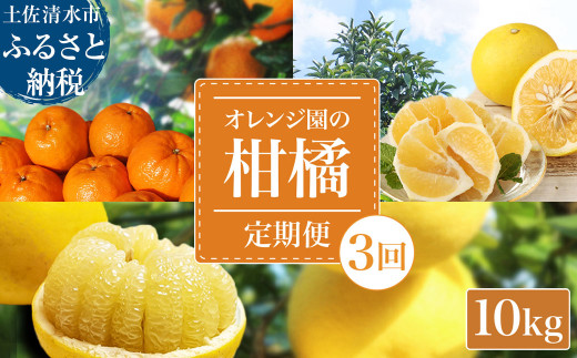 【令和8年発送】 オレンジ園の柑橘3種(ぽんかん・文旦・小夏)各10kg 3回定期便 ポンカン ぶんたん こなつ 果物 蜜柑 みかん ミカン 柑橘 フルーツ デザート 国産 常温 配送【J00105】高知県