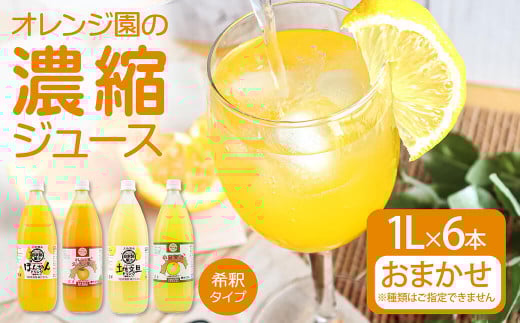 オレンジ園の濃縮ジュース 1L おまかせ6本入り 希釈用 みかんジュース チューハイ用 ドリンク ジュース 柑橘類 蜜柑 みかん【R01127】高知県土佐清水市45000お茶・飲料果汁・野菜飲料