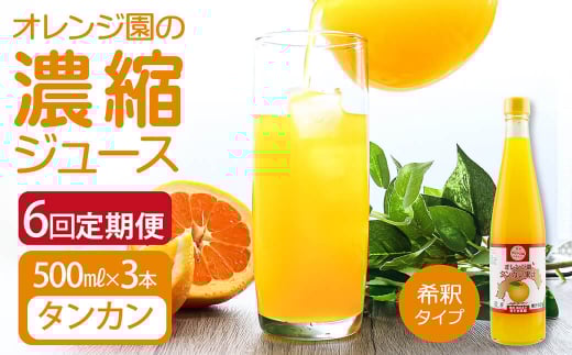 オレンジ園の濃縮ジュース タンカン 500ml 3本 6回定期便 希釈用 みかんジュース チューハイ用 ドリンク ジュース 柑橘類 蜜柑 みかん【J00113】高知県土佐清水市77000お茶・飲料果汁・野菜飲料