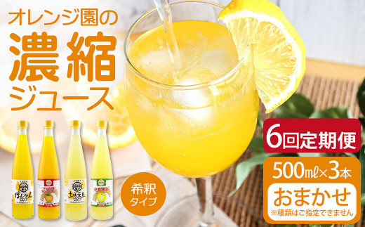 オレンジ園の濃縮ジュース 500ml おまかせ3本入り 6回定期便 希釈用 みかんジュース チューハイ用 ドリンク ジュース 柑橘類 蜜柑 みかん【J00116】高知県土佐清水市77000お茶・飲料果汁・野菜