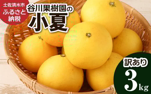 【令和8年4月発送】 谷川果樹園の小夏3kg 日向夏 みかん 柑橘 フルーツ こなつ ニューサマーオレンジ 果物 美味しい ワケあり 訳 自宅用 おやつ 高知 【R01146】高知県土佐清水市7000果物・フル
