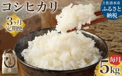 令和7年産 新米 コシヒカリ精米5kg(1袋)3回定期便 白米 お米 ご飯 米 こめ コシヒカリ こしひかり 高知県産 5キロ 故郷納税 返礼品 高知 土佐清水市 【J00219】高知県土佐清水市48000米・パン