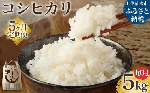 【先行予約】令和6年産 新米 コシヒカリ精米5kg(1袋)5回定期便 白米 お米 ご飯 米 こめ コシヒカリ こしひかり 高知県産 5キロ 故郷納税 返礼品 高知 土佐清水市 【J00129】高知県土佐清水市3