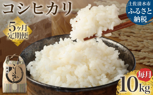 【先行予約】令和6年産 新米 コシヒカリ精米10kg(1袋)5回定期便 白米 お米 ご飯 米 こめ コシヒカリ こしひかり 高知県産 10キロ 故郷納税 返礼品 高知 土佐清水市 【J00131】高知県土佐清水
