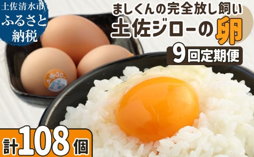 土佐ジローの卵 定期便(12個入り×9回)もみ殻梱包 ブランド卵 タマゴ たまご 卵 毎月 定期コース 土佐ジロー 卵焼き 卵かけごはん 卵料理  お取り寄せ【J00134】高知県土佐清水市78000卵・乳