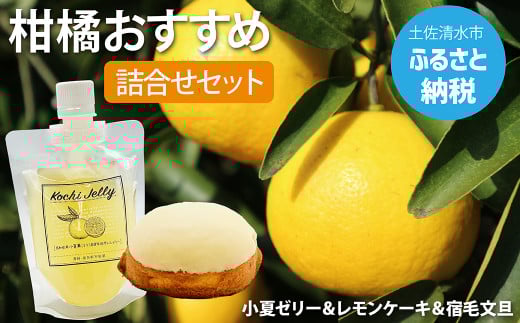 先行予約 期間限定 柑橘デザート詰合せ(kochi Jelly・マツシタのレモンケーキ・宿毛文旦)柑橘 フルーツ ぶんたん ブンタン 果物 くだもの ゼリー ケーキ デザート スイーツ【R00876】高知県
