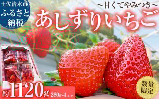 数量限定 甘くてやみつき あしずりいちご 280g×4パック イチゴ 苺 果物 フルーツ デザート スイーツ ケーキ おやつ 甘い おいしい 冷蔵 配送【R01325】高知県土佐清水市13000果物・フルーツいち