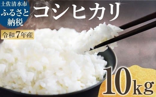 令和7年産 新米 コシヒカリ 精米 10kg 白米 お米 ご飯 ごはん おにぎり 米 こめ こしひかり 高知県産 美味しい おいしい【R01518】高知県土佐清水市28000米・パン白米