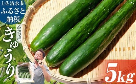 きゅうり 5kg 5キロ キュウリ 野菜 新鮮 サラダ 漬物 浅漬け ぬか漬け 酢の物 炒め物 健康 高知県 土佐清水市 夏野菜【R01452】高知県土佐清水市10000野菜・きのこその他 野菜