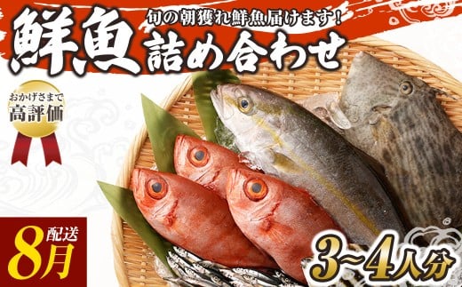 旬の朝獲れ鮮魚詰め合わせ 【2026年8月配送】 鮮魚 直送 ボックス 詰め合わせ【以布利定置網 漁師直送】セット おまかせ 魚介 海鮮 魚 魚介類 海鮮セット 新鮮 天然【S00818-8】高知県土佐清
