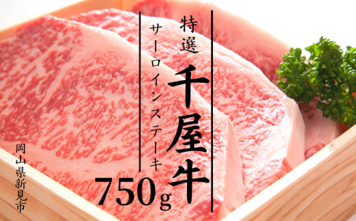 特選千屋牛サーロインステーキ 750g岡山県新見市59000肉牛肉