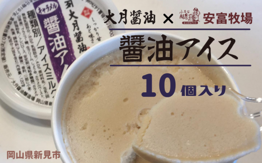 大月醤油の醤油アイス 10個入り岡山県新見市18000菓子・スイーツアイス・ジェラート