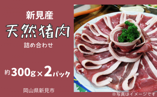 VY VR ɏlߍ킹 XCX 300g×2 y12{`8{zRVs18000WrG