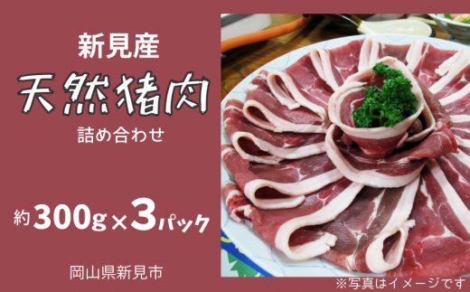 新見産 天然猪肉 極上詰め合わせ スライス肉 約300g×3 【12月上旬〜8月下旬頃発送】岡山県新見市24000肉ジビエ