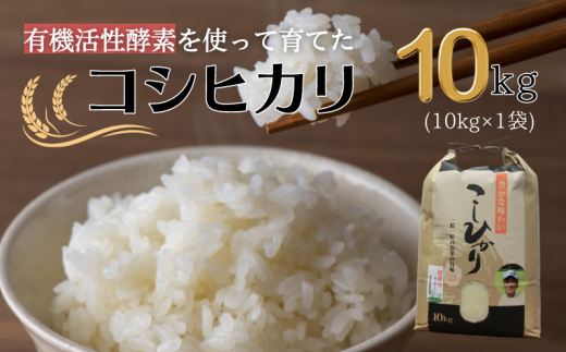 【令和7年産】有機活性酵素を使用 新見産コシヒカリ 白米10kg×1袋岡山県新見市33000米・パン白米
