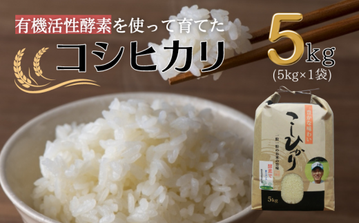 【令和7年産】有機活性酵素を使用 新見産コシヒカリ 白米5kg×1袋岡山県新見市17000米・パン白米
