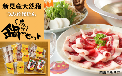 VY VR ݂ ڂ Zbg WrGiE݂EXjp XCXRVs24000WrG