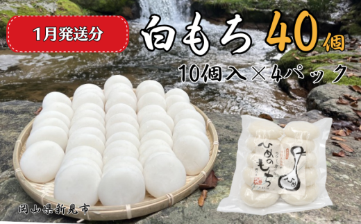【2026年1月発送】白もち 40個 (10個入500g×4パック)ヒメノモチ100%使用岡山県新見市12000米・パン玄米・雑穀米・もち米・餅