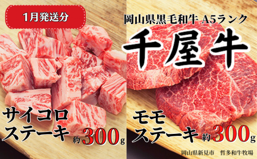 【2026年1月発送】千屋牛 サイコロ・モモステーキセット(合計約600g) 牧場直送便 A5ランク岡山県新見市28000肉牛肉