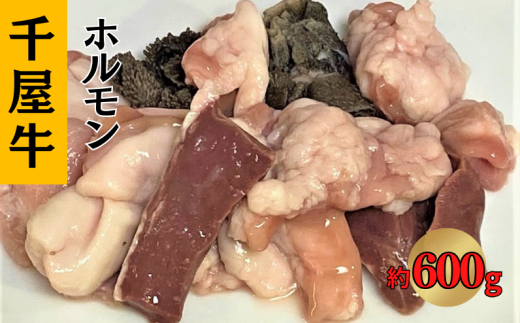 千屋牛 ホルモン 約600g岡山県新見市18000肉牛肉