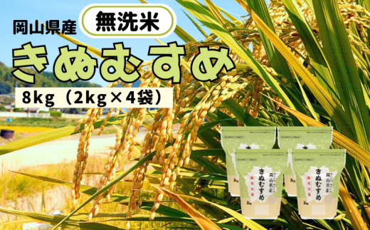 【令和7年産】無洗米 きぬむすめ 8kg 2kg×4袋 岡山県産 【先行予約 2025年11月上旬から順次発送】岡山県新見市24000米・パン白米