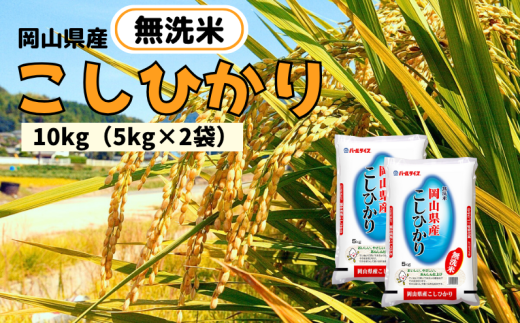【令和7年産】無洗米 こしひかり 10kg 5kg×2袋 岡山県産 【先行予約 2025年10月上旬から順次発送】岡山県新見市29000米・パン白米