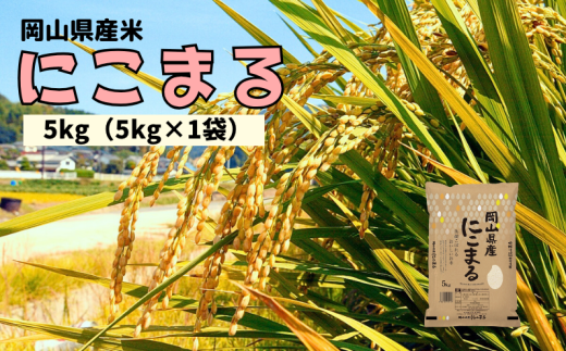 【令和7年産】岡山県産米 にこまる 5kg 5kg×1袋 【先行予約 2025年11月上旬から順次発送】岡山県新見市15000米・パン白米