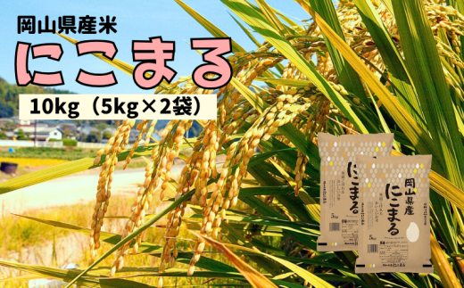 【令和7年産】岡山県産米 にこまる 10kg 5kg×2袋 【先行予約 2025年11月上旬から順次発送】岡山県新見市29000米・パン白米
