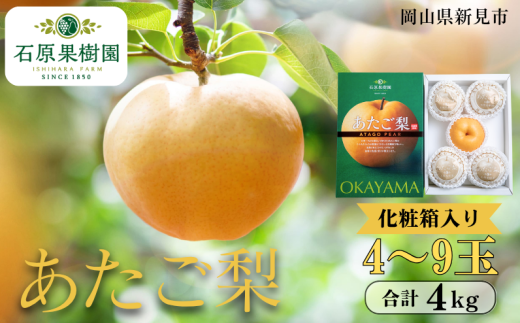 あたご梨 4〜9玉 約4kg 化粧箱【先行予約 2025年11月中旬から順次発送】岡山県新見市24000果物・フルーツりんご・梨