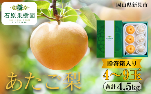 あたご梨 4〜9玉 約4.5kg 贈答箱【先行予約 2025年11月中旬から順次発送】岡山県新見市28000果物・フルーツりんご・梨