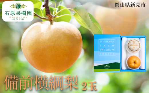 備前横綱梨 (あたご梨) 2玉 1玉約1〜1.4kg 【先行予約 2025年11月中旬から順次発送】岡山県新見市34000果物・フルーツりんご・梨