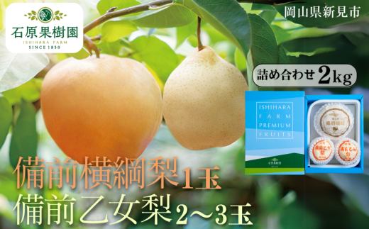 備前横綱梨(あたご梨)1玉(1玉約1〜1.4kg) 備前乙女梨(ヤーリー (鴨梨)) 2〜3玉 詰め合わせ 約2kg【先行予約 2025年11月中旬から順次発送】岡山県新見市28000果物・フルーツりんご・梨