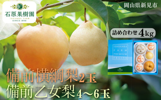 備前横綱梨(あたご梨)2玉(1玉約1〜1.4kg) 備前乙女梨(ヤーリー (鴨梨)) 4〜6玉 詰め合わせ 約4kg【先行予約 2025年11月中旬から順次発送】岡山県新見市52000果物・フルーツりんご・梨