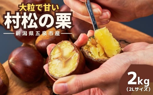 I z㑺̌I 2kg ( 2LTCY ) 嗱 |  N  Yn V ܐs YUcI [2025N10{珇]Vܐs12000ʕEt[c̑ 