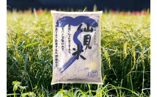 令和7年産 特別栽培米コシヒカリ 「仙見米」5kg 新潟県 五泉市 (有)川内ライスプラント新潟県五泉市17000米・パン白米