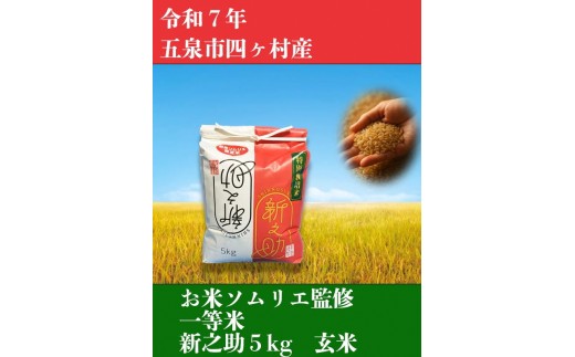 ߘa7NYVāyă\ĜāzVV  5kgi5kg×1܁jV ܐs Go[O[_Vܐs18000āEpāEGāEāE