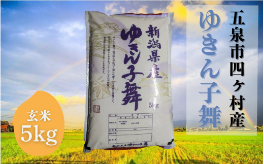 令和7年産米【お米ソムリエのお米】ゆきん子舞 玄米 5kg(5kg×1袋)五泉市四ヶ村産 米 お米 新潟県 五泉市 エバーグリーン農場新潟県五泉市14000米・パン玄米・雑穀米・もち米・餅